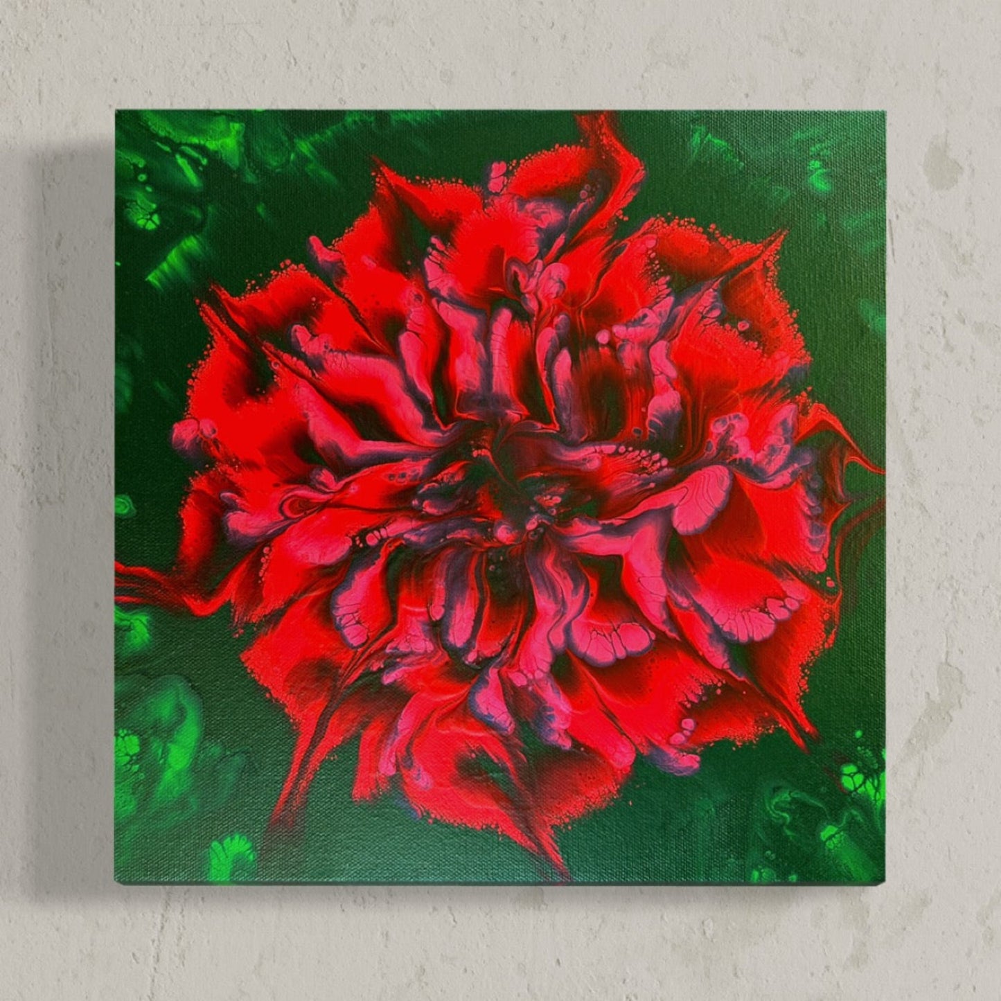 Passionate Carnation